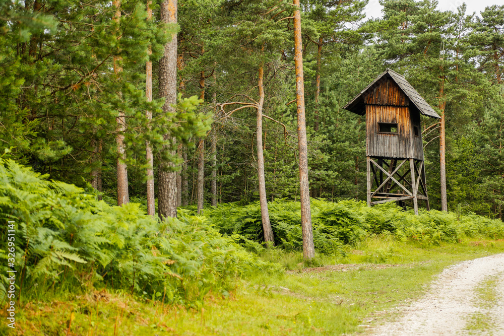 Wooden watch tower in the forest Wooden watch tower in the forest