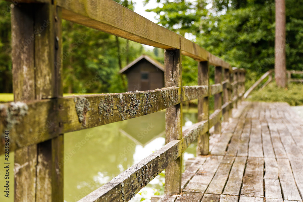 Bridge over a river in the middle of a forest