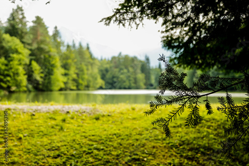 Beautiful landscape with lake and trees