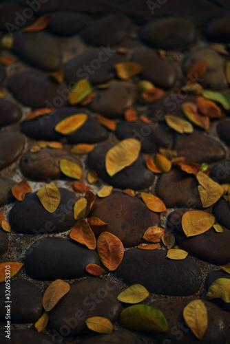 The dry leaves have fallen on the cobblestones