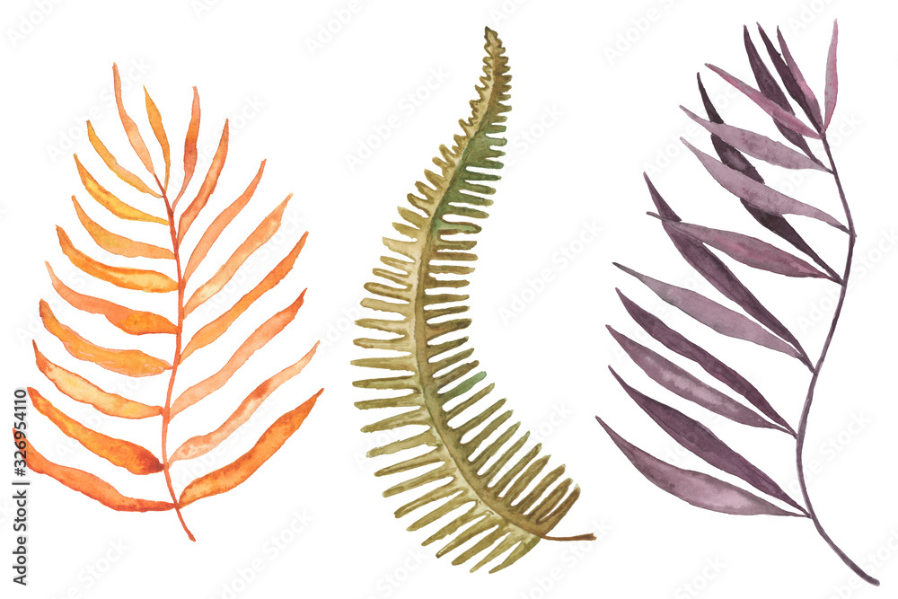 Set of hand drawn tropical leaves painted in watercolour on white background.  Yellow, green and violet. Watercolour autumn and summer colourful illustration. Fern leaf, palm leaf isolated.