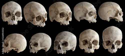 A human skull without a jaw. Isolated on black background.