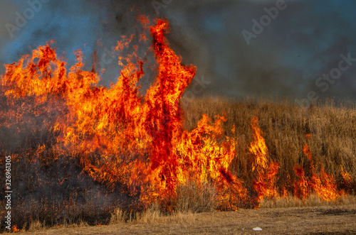 生きている様な炎の形 © SUGICK