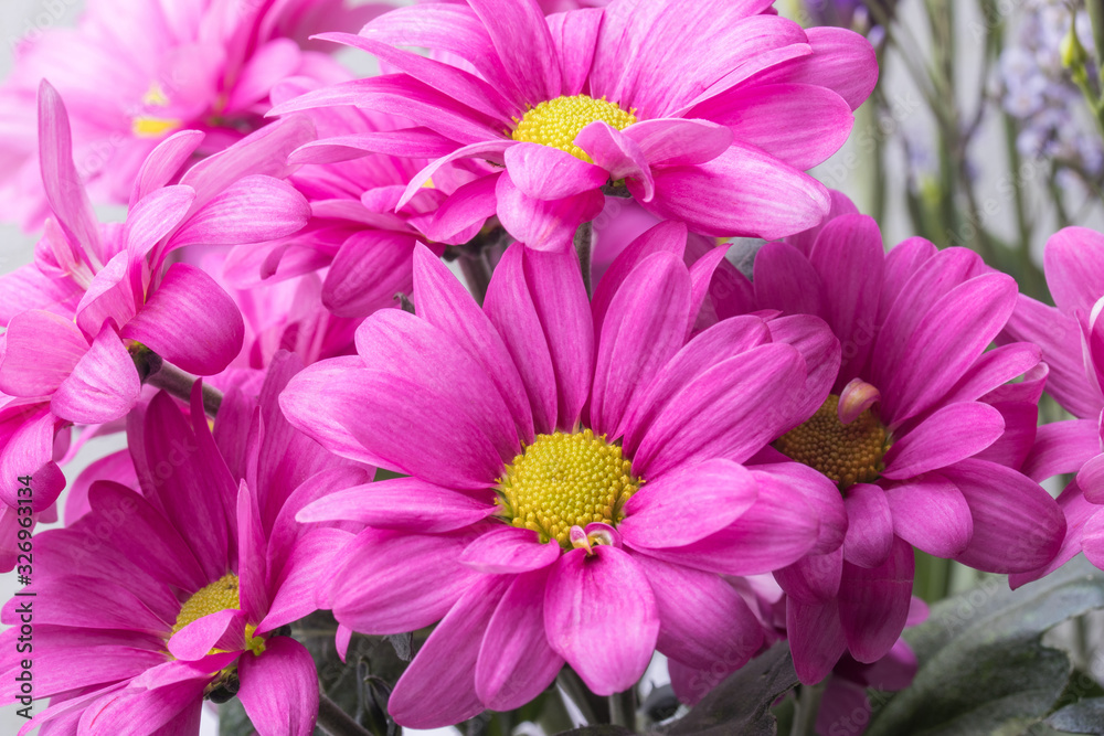 A bouquet of pink background flowers