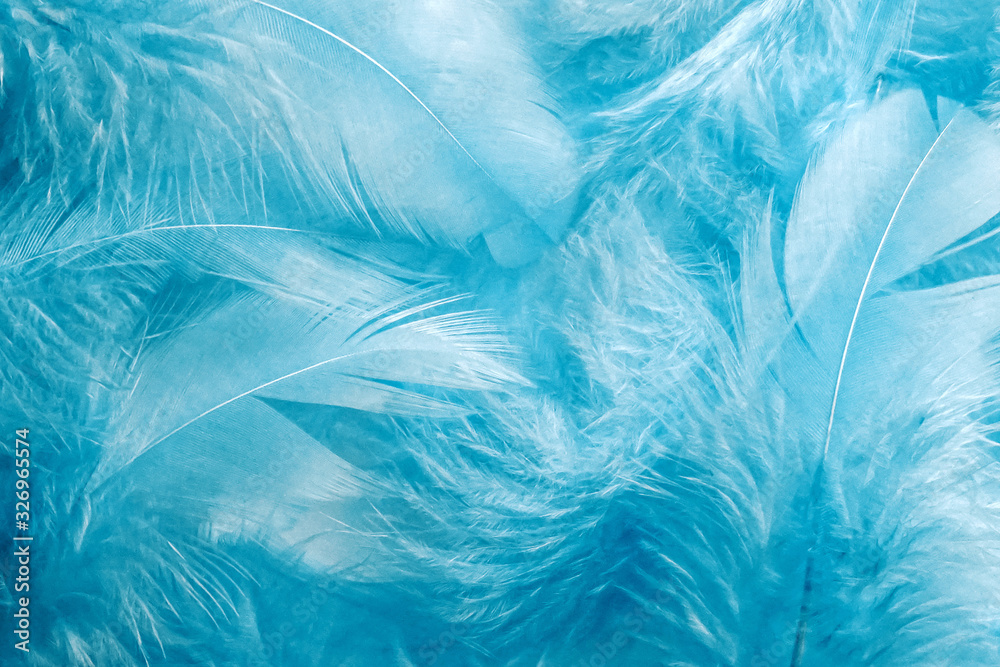 Soft feather