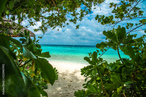 Hidden path to a private beach in the Maldives