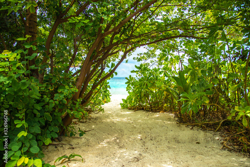 Path to a secret peaceful beach in the Maldives