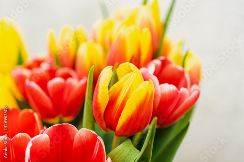 Fototapeta Naklejka Na Ścianę i Meble -  Beautiful close-up shot of a bunch of colorful tulips