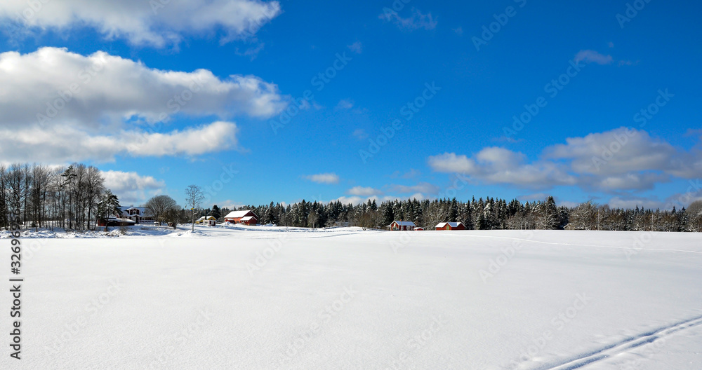 Winter landscape on a field in Sweden during a Summer day.