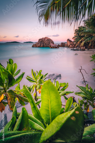 La Digue Island, Seychelles. Beautiful tropical sandy beach with exotic plants in evening sunset lilac light. Vacation holiday concept photo