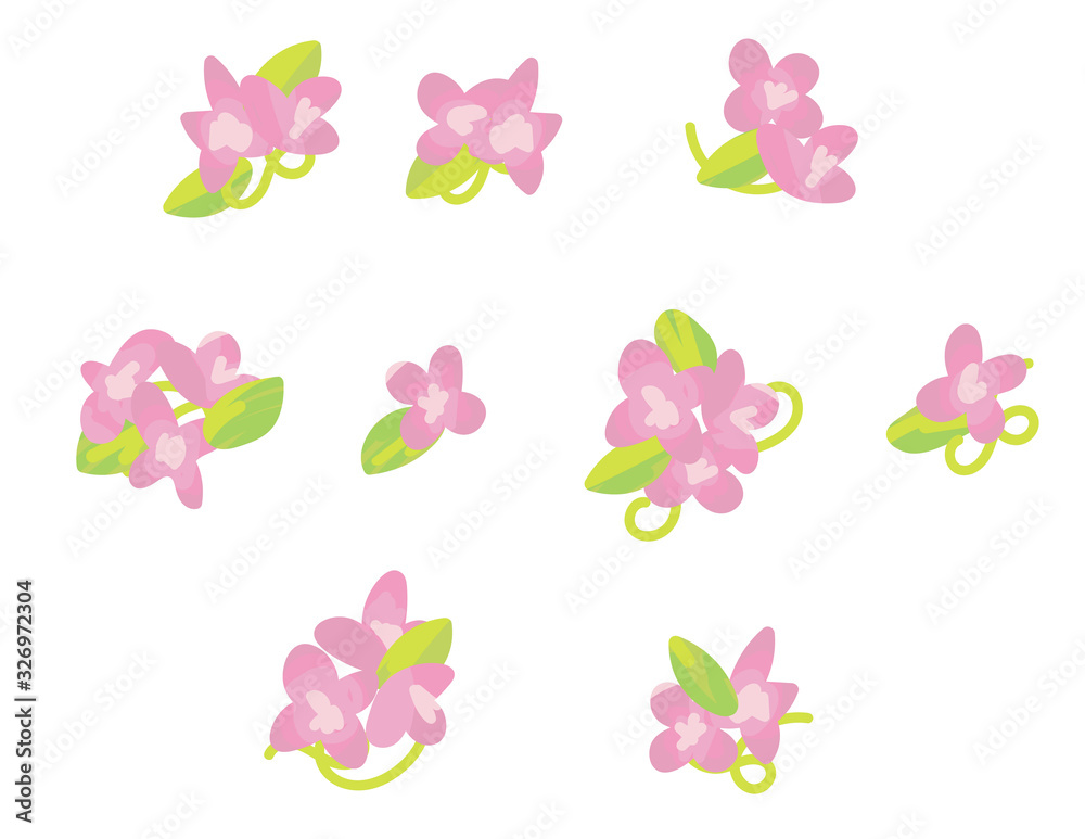 ピンク色の花のイラスト　セット