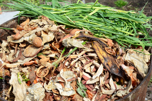 Close up on compost background with food scraps.
