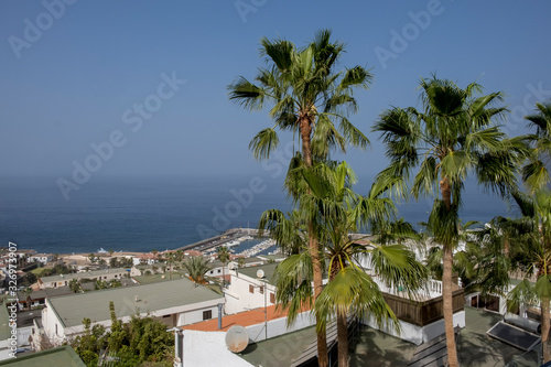 Los Gigantes view with palm trees Tenerife Spain