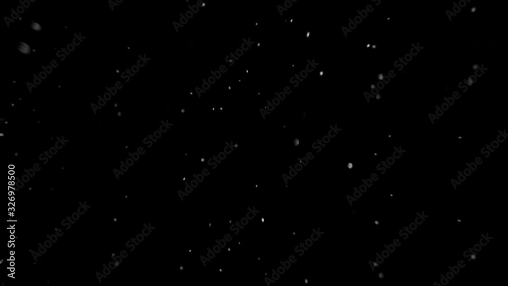 Natural floating particles on black background. Slow motion.