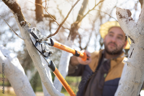 Seasonal gardening and working