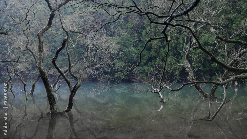 Fototapeta premium 不動池
