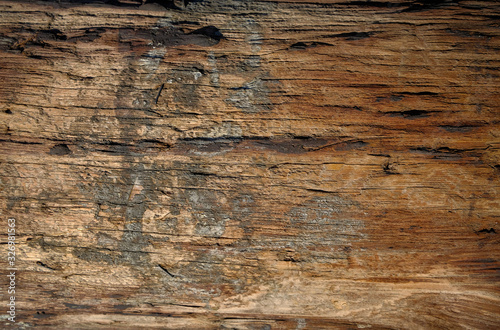 Тexture of tree bark, green leaves, granite stones for background and creativity