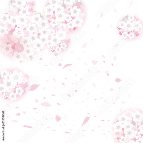 満開の桜と花吹雪のイラスト