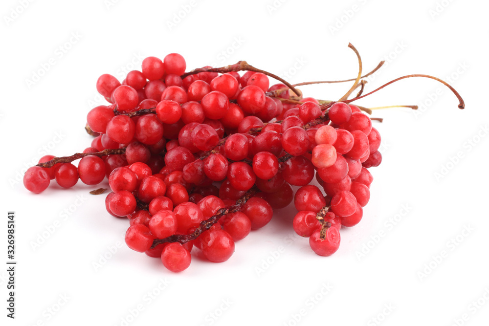 Schisandra Chinensis isolated on white Schisandra Chinensis isolated on white