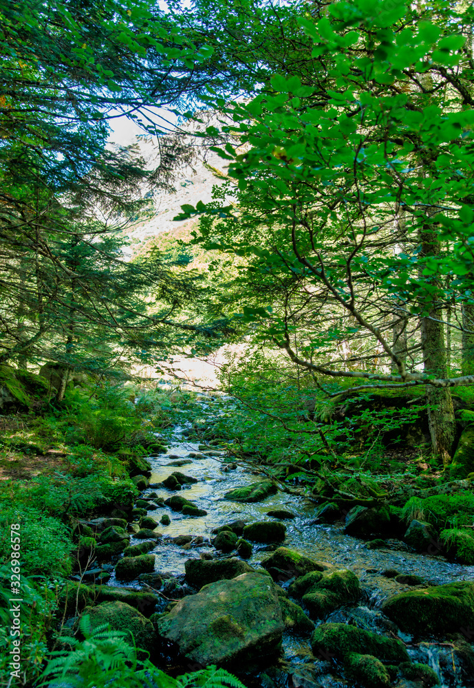 Fototapeta premium Ruisseau pyrénéen à Mérens-les-Vals, Ariège, France