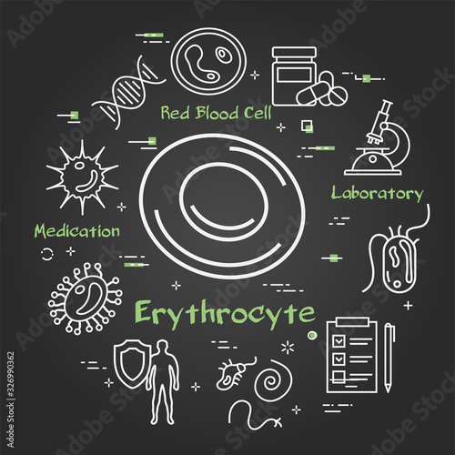 Vector black concept of bacteria and viruses - erythrocyte icon