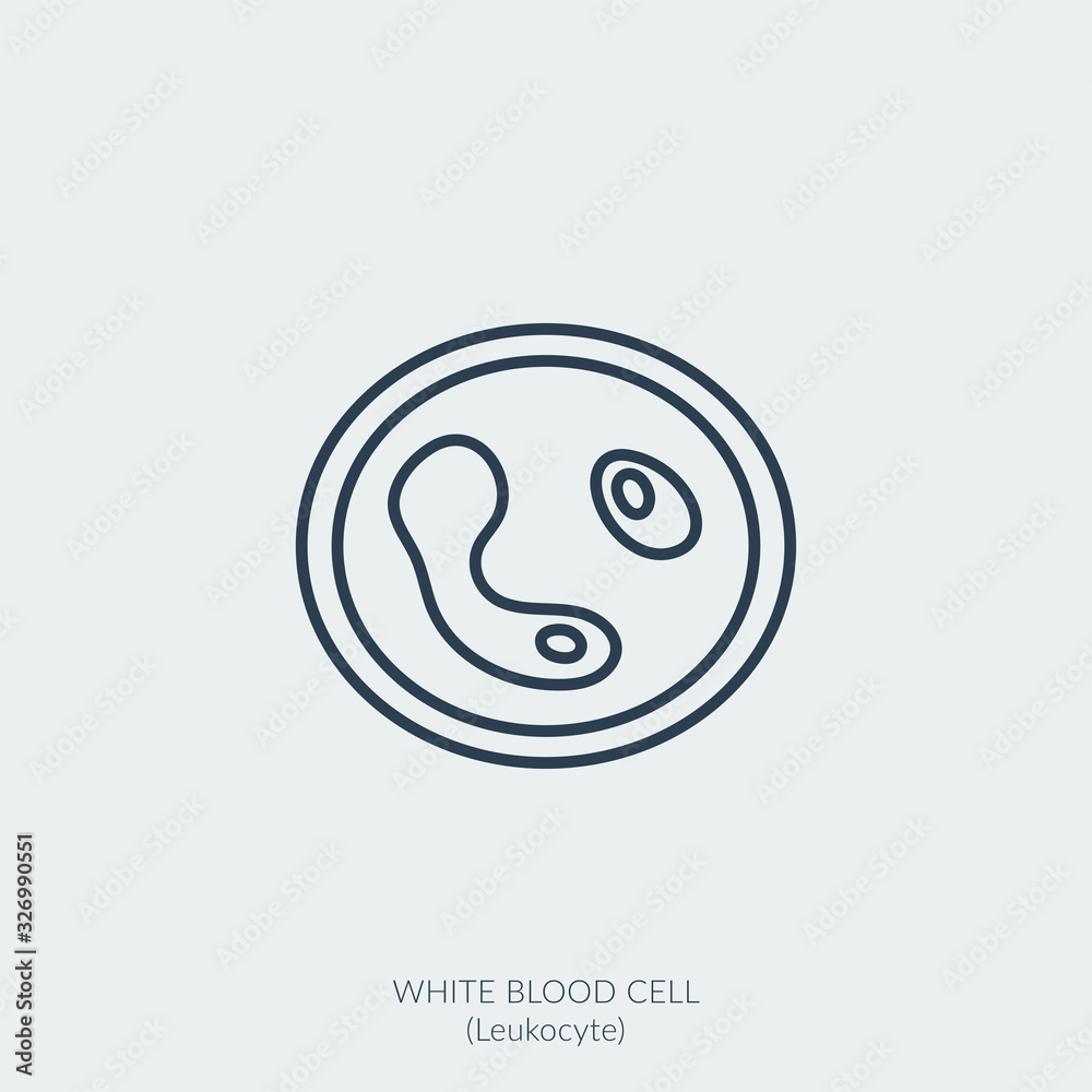 Medical vector line icon of white blood cell or leukocyte Medical vector line icon of white blood cell or leukocyte