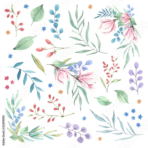 Fototapeta Naklejka Na Ścianę i Meble -  Hand drawn watercolor botanical elements set. Flowers, leaves, bouquets, isolated illustration