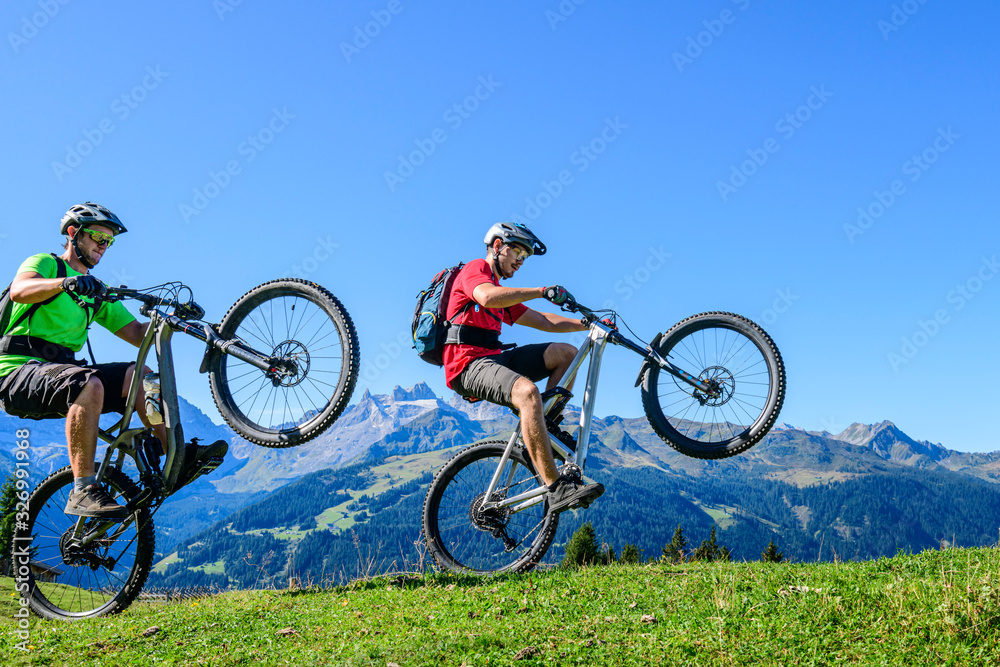 Wheelie synchron vor herrlicher Alpen-Kulisse Wheelie synchron vor herrlicher Alpen-Kulisse