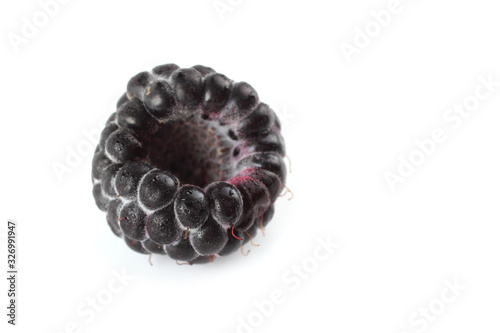 Black raspberry (Rubus idaeus) isolated on white
