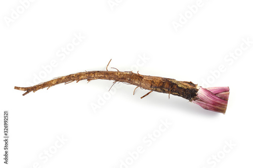 Canvas Print Burdock root isolated on white