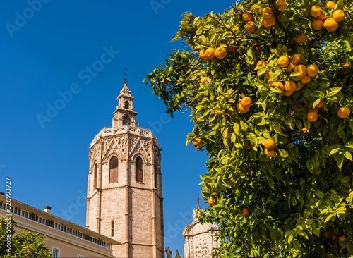 Valencia - Cathedral of Valencia with its Bell Tower Micalet