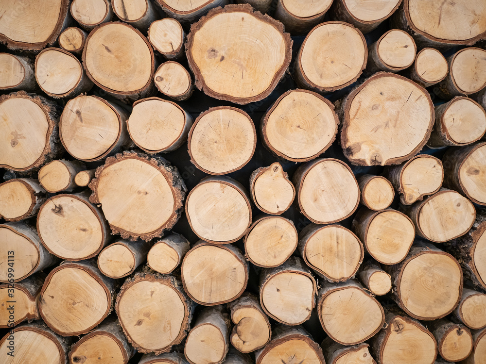 Fototapeta premium Pile of wood logs ready for winter
