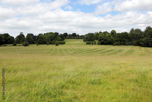 A large green field with trees in the distance