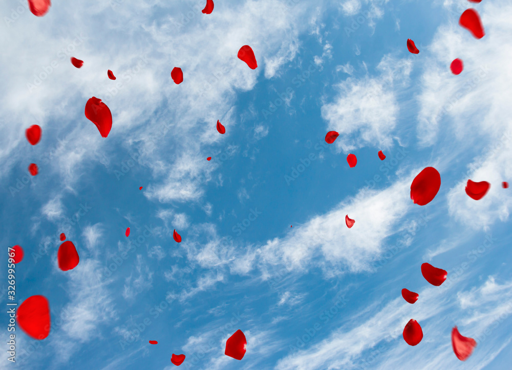 Beautiful romantic card with rose petals. Blue sky as background, de-focused Beautiful romantic card with rose petals. Blue sky as background, de-focused