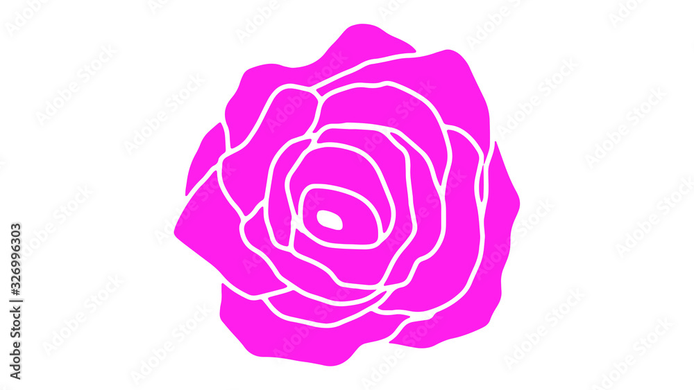 Pink color rose isolated on white background image Pink color rose isolated on white background image