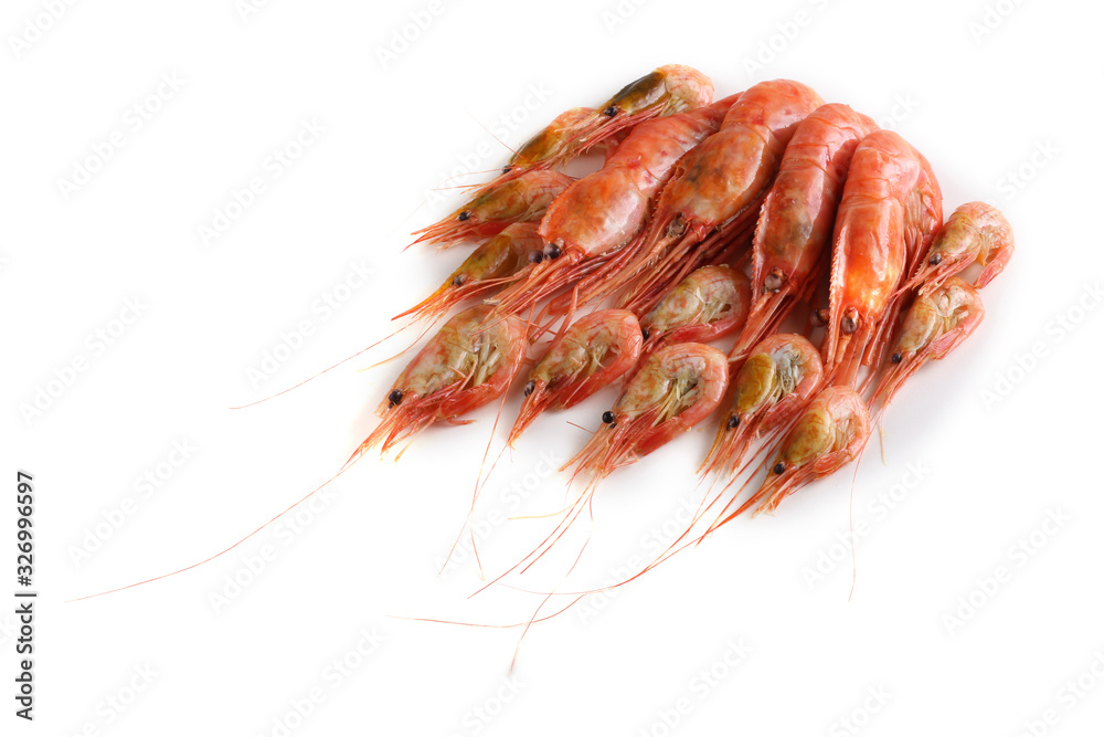 Big and little shrimps Big and little shrimps