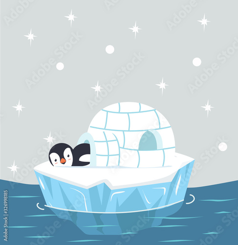 penguin sleep in Igloo ice house