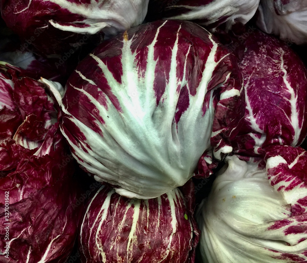 Obraz premium red cabbage