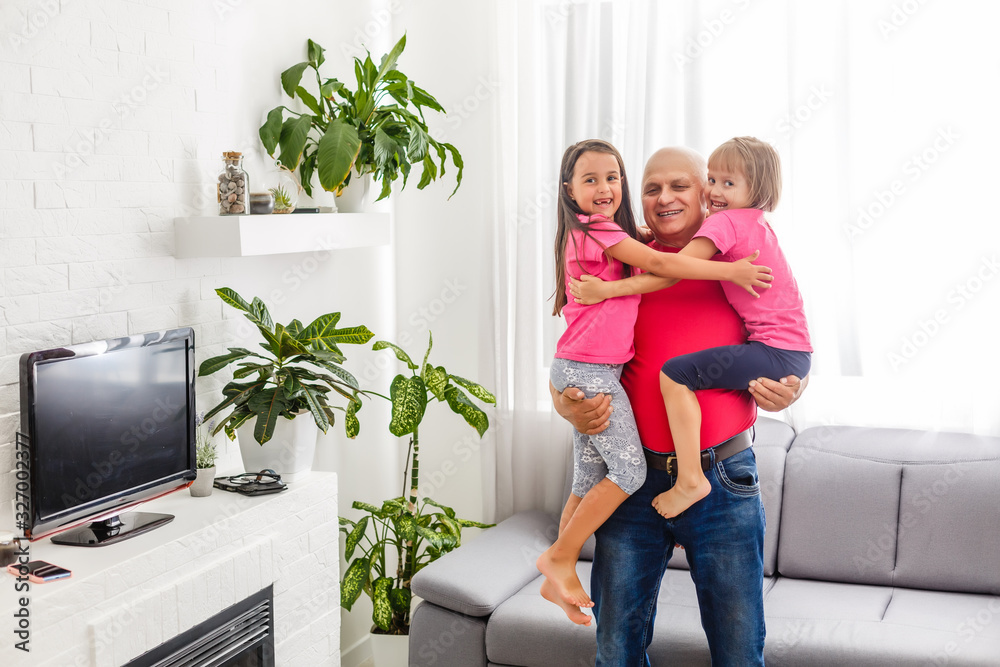 Mature man playing with granddaughters at home. Mature man playing with granddaughters at home.