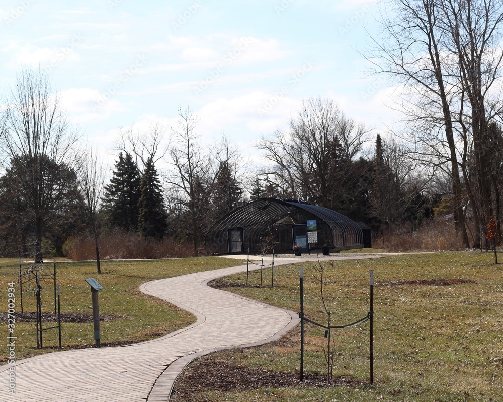 The winding path in the park on a sunny winter day.