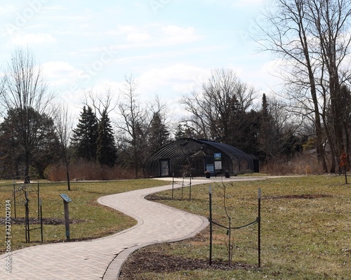 Wallpaper Mural The winding path in the park on a sunny winter day. Torontodigital.ca
