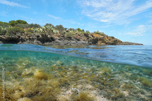 Mediterranean sea rocky shore with a school of striped red mullet fish underwater, split view over and under water surface, Spain, Costa Brava, Cap de Creus, Catalonia © dam