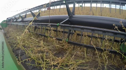 Correntina, Bahia, Brazil, February 26, 2020: Detail of the soybean harvester, detail of the high yield grains, blue sky - Agribusiness. photo