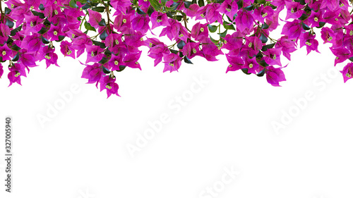 Fotografia Seamless floral frame, mockup