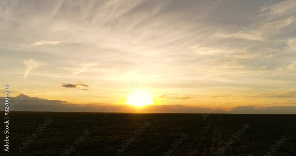 Aerial image, agriculture, close up of a soybean field in the middle of the product growth cycle. farm at sunset or sunrise. Aerial image, agriculture, close up of a soybean field in the middle of the product growth cycle. farm at sunset or sunrise.