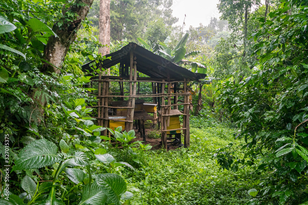 Beehives in Ethiopia Beehives in Ethiopia