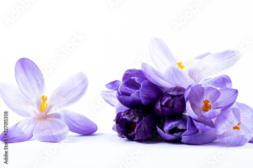 small bouquet of crocus flowers on