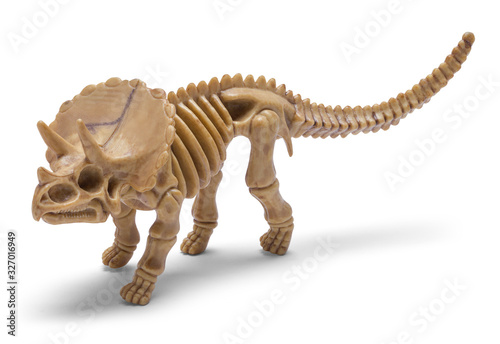 Dinosaur Skeleton © pixelrobot