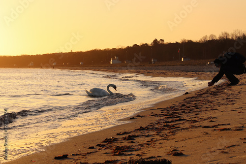 beach at sunset