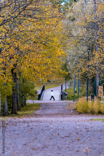 Fototapeta Naklejka Na Ścianę i Meble -  Park in the autumn.